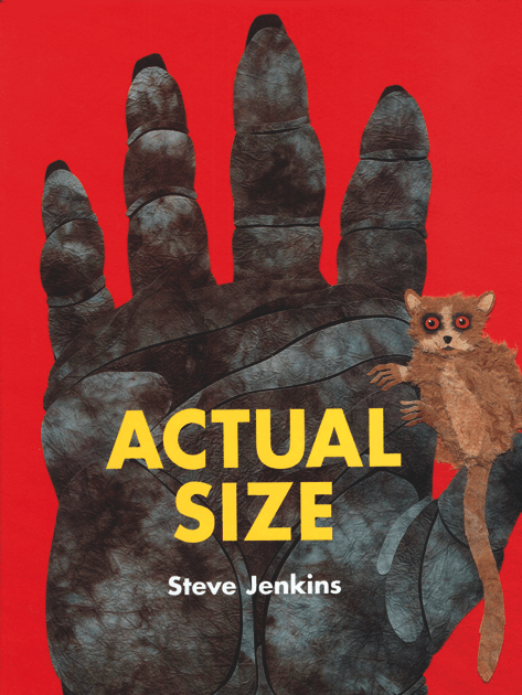 Actual Size by Steve Jenkins Picture Book Review