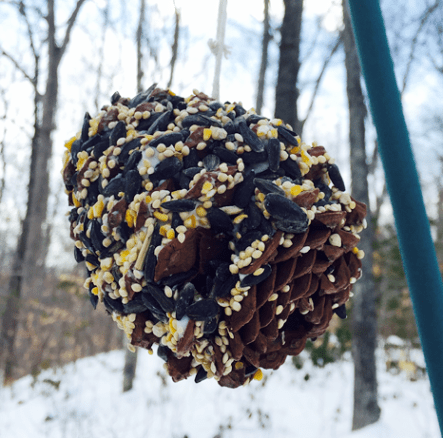 CPB - Bird Feeder I (2)