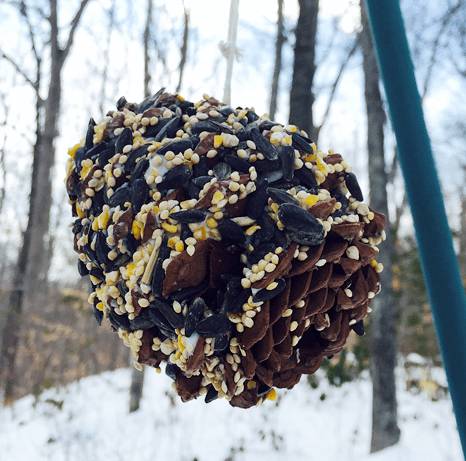 CPB - Bird Feeder I (2)