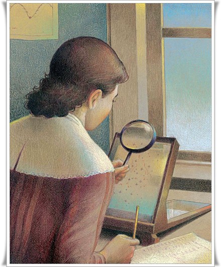 celebrate-picture-books-picture-book-review-look-up-henrietta-leavitt-studies-star-map