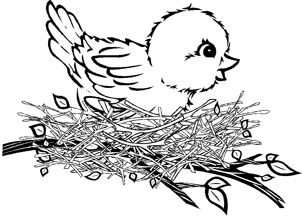celebrate-picture-books-picture-book-bird-in-nest-coloring-page