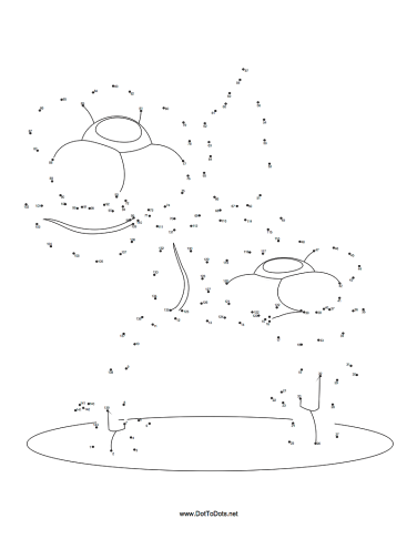 celebrate-picture-books-picture-book-review-flower-dot-to-dot