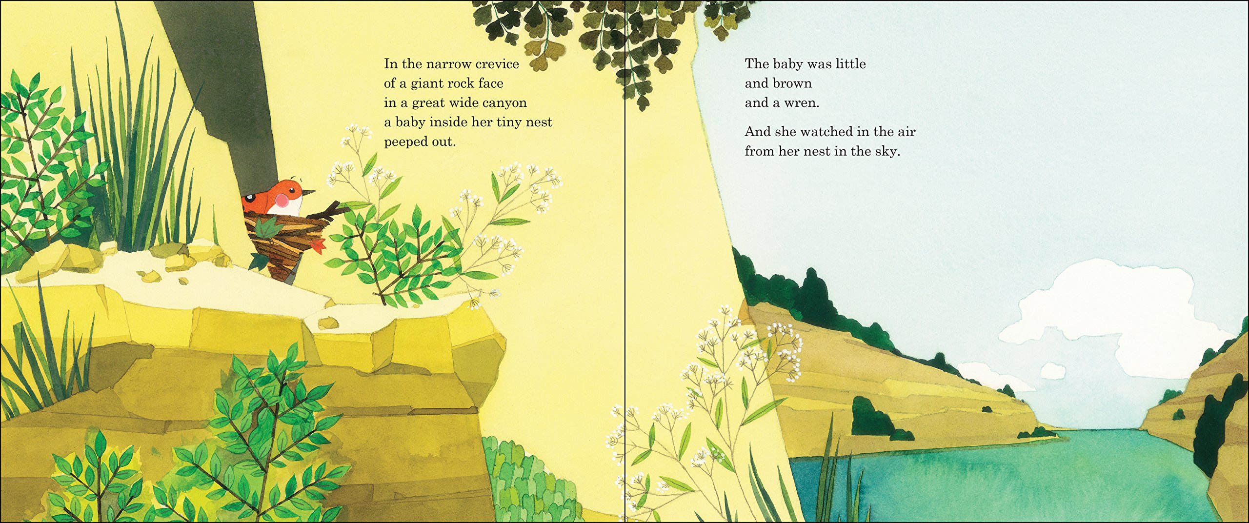 celebrate-picture-books-picture-book-review-baby-wren-and-the-great-gift-in-the-nest