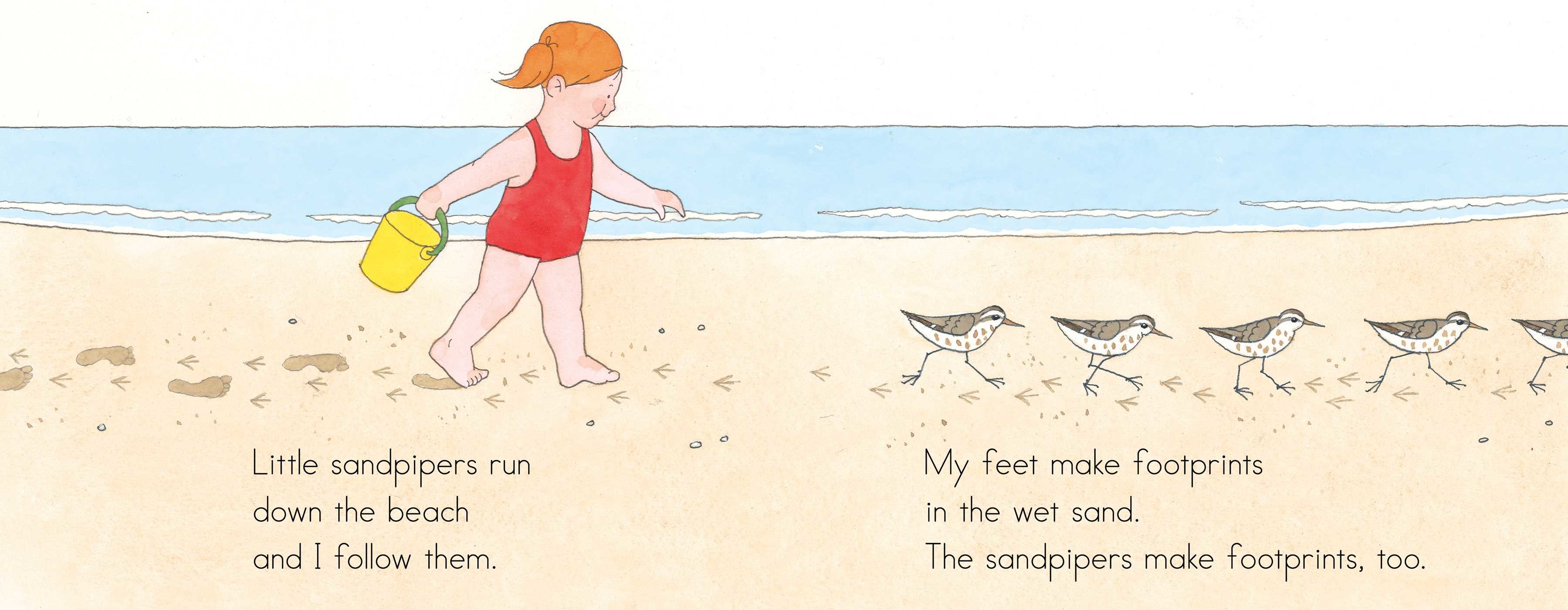 celebrate-picture-books-picture-book-review-at-the-beach-interior-art-sandpipers