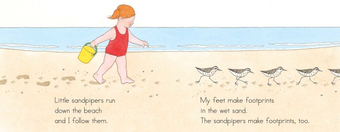 celebrate-picture-books-picture-book-review-at-the-beach-interior-art-sandpipers