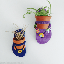 celebrate-picture-books-picture-book-review-flip-flop-craft