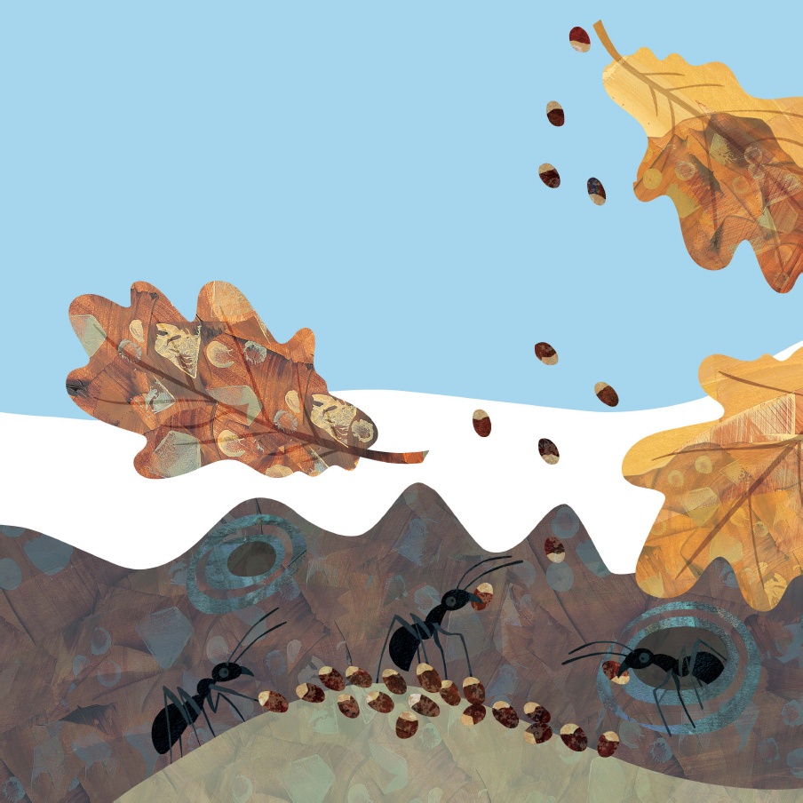 celebrate-picture-books-picture-book-review-good-trick-walking-stick-interior-art-eggs