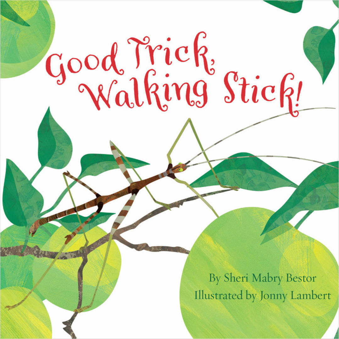 celebrate-picture-books-picture-book-review-good-trick-walking-stick-cover