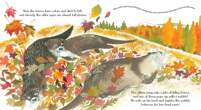 celebrate-picture-books-picture-book-review-otters-love-to-play-in-autumn