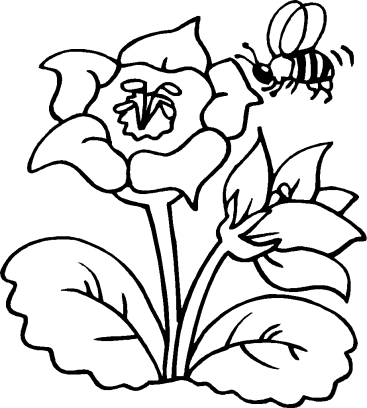 celebrate-picture-books-picture-book-review-bee-coloring-page