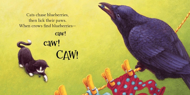 celebrate-picture-books-picture-book-review-more-blueberries-crow-and-cat