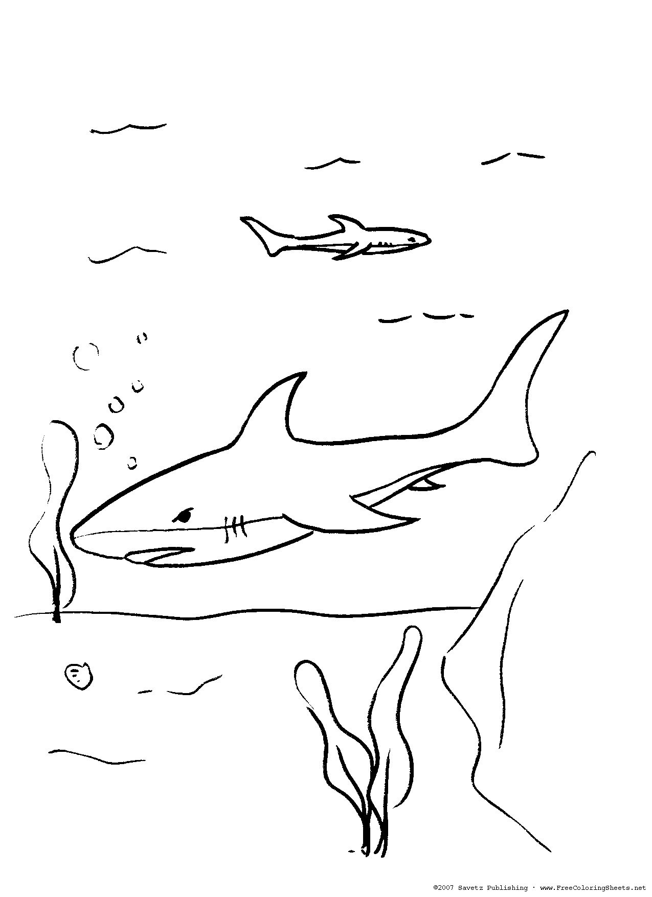 celebrate-picture-books-picture-book-review-shark-coloring-page