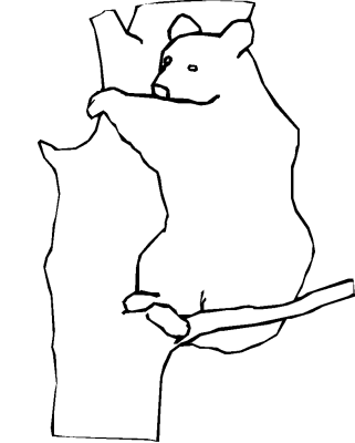 celebrate-picture-books-picture-book-review-bear-climbing-tree-coloring-page