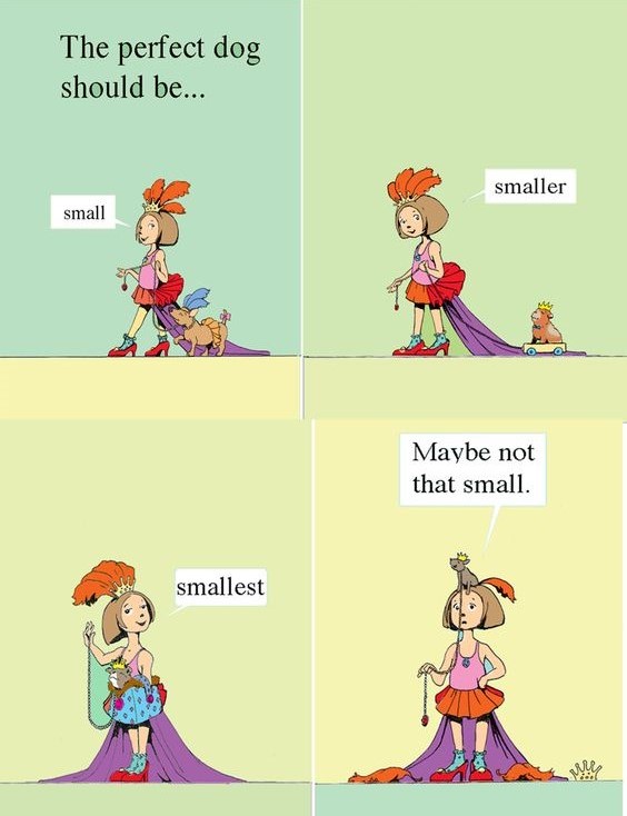 celebrate-picture-books-picture-book-review-the-perfect-dog-smaller