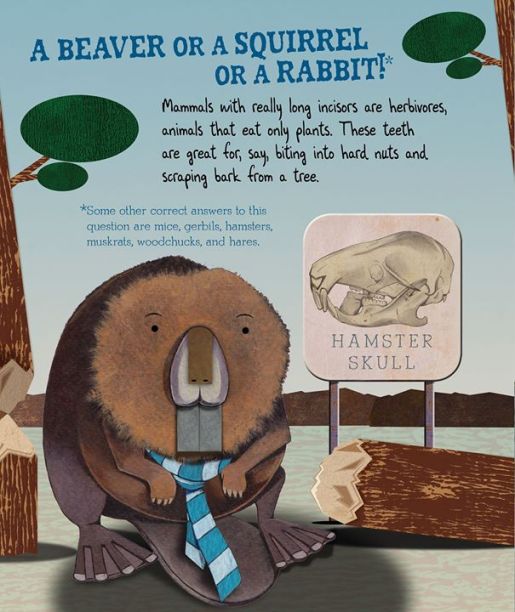 celebrate-picture-books-picture-book-review-tooth-by-tooth-beaver