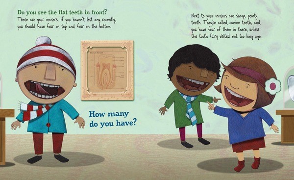 celebrate-picture-books-picture-book-review-tooth-by-tooth-human-teeth