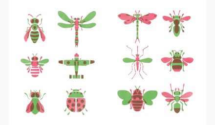 celebrate-picture-books-picture-book-review-undercover-one-of-these-things-is-almost-like-the-others-beetles