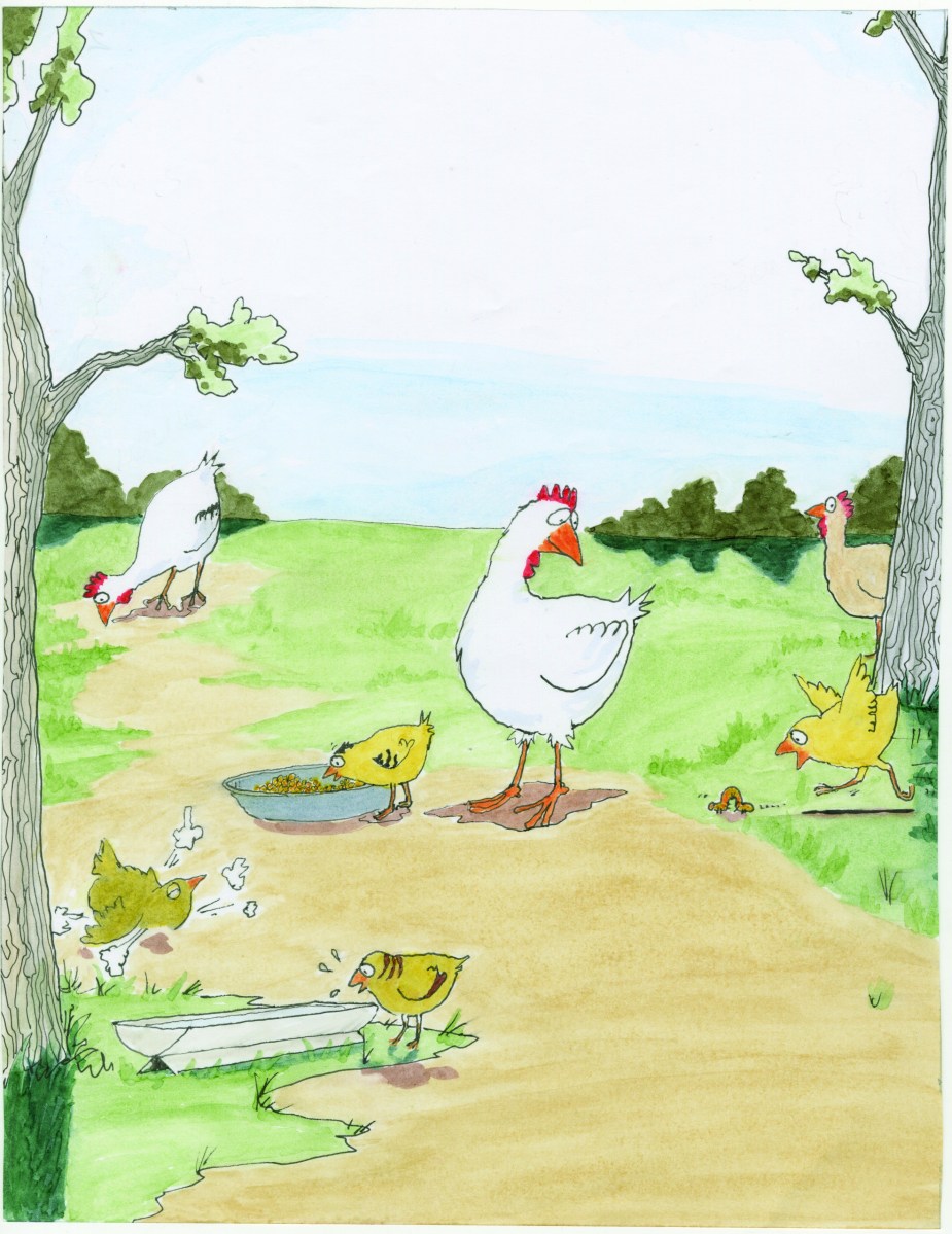 celebrate-picture-books-picture-book-review-what's-up-with-this-chicken-baby-chicks