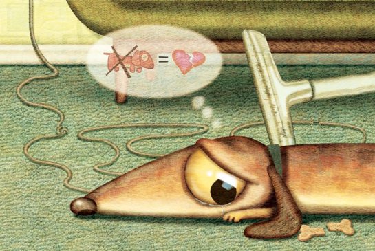 celebrate-picture-books-picture-book-review-bug-in-a-vacuum-sad-dog