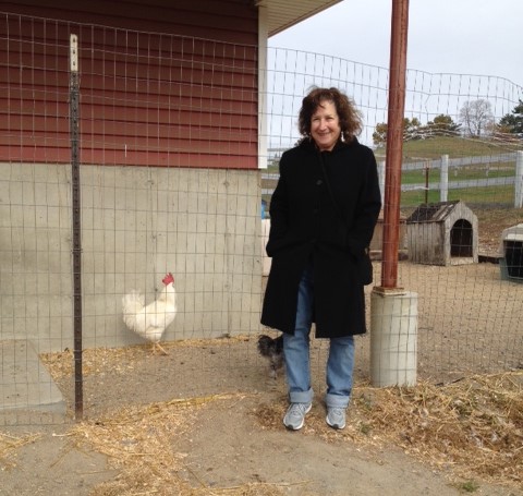 celebrate-picture-books-picture-book-review-jane-sutton-and-chicken