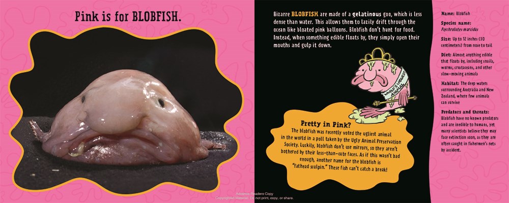 celebrate-picture-books-picture-book-review-pink-is-for-blobfish-blobfish