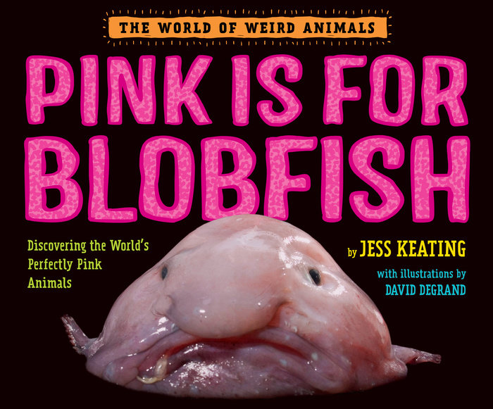 celebrate-picture-books-picture-book-review-pink-is-for-blobfish-cover
