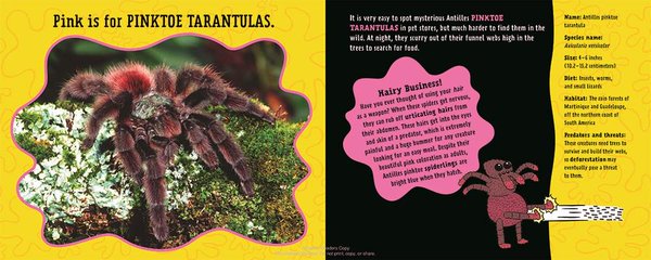 celebrate-picture-books-picture-book-review-pink-is-for-blobfish-pinktoe-tarantula