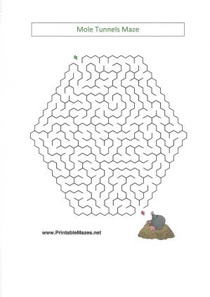 celebrate-picture-books-picture-book-review-mole-maze