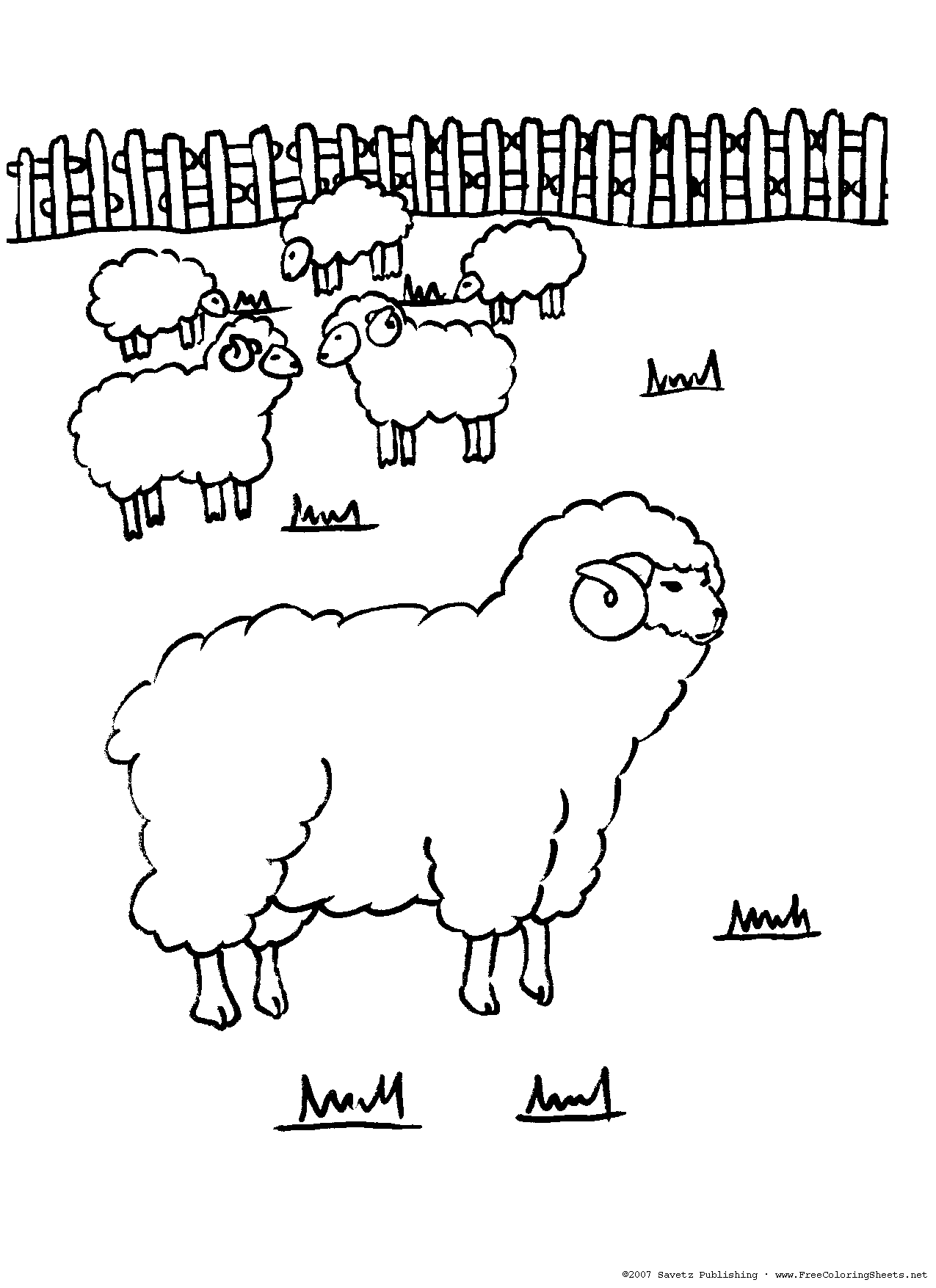 celebrate-picture-books-picture-book-review-sheep-coloring-page