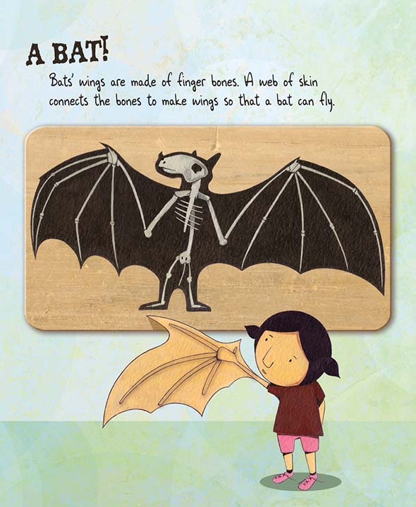 celebrate-picture-books-picture-book-review-bone-by-bone-bat