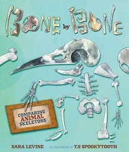 celebrate-picture-books-picture-book-review-bone-by-bone-cover