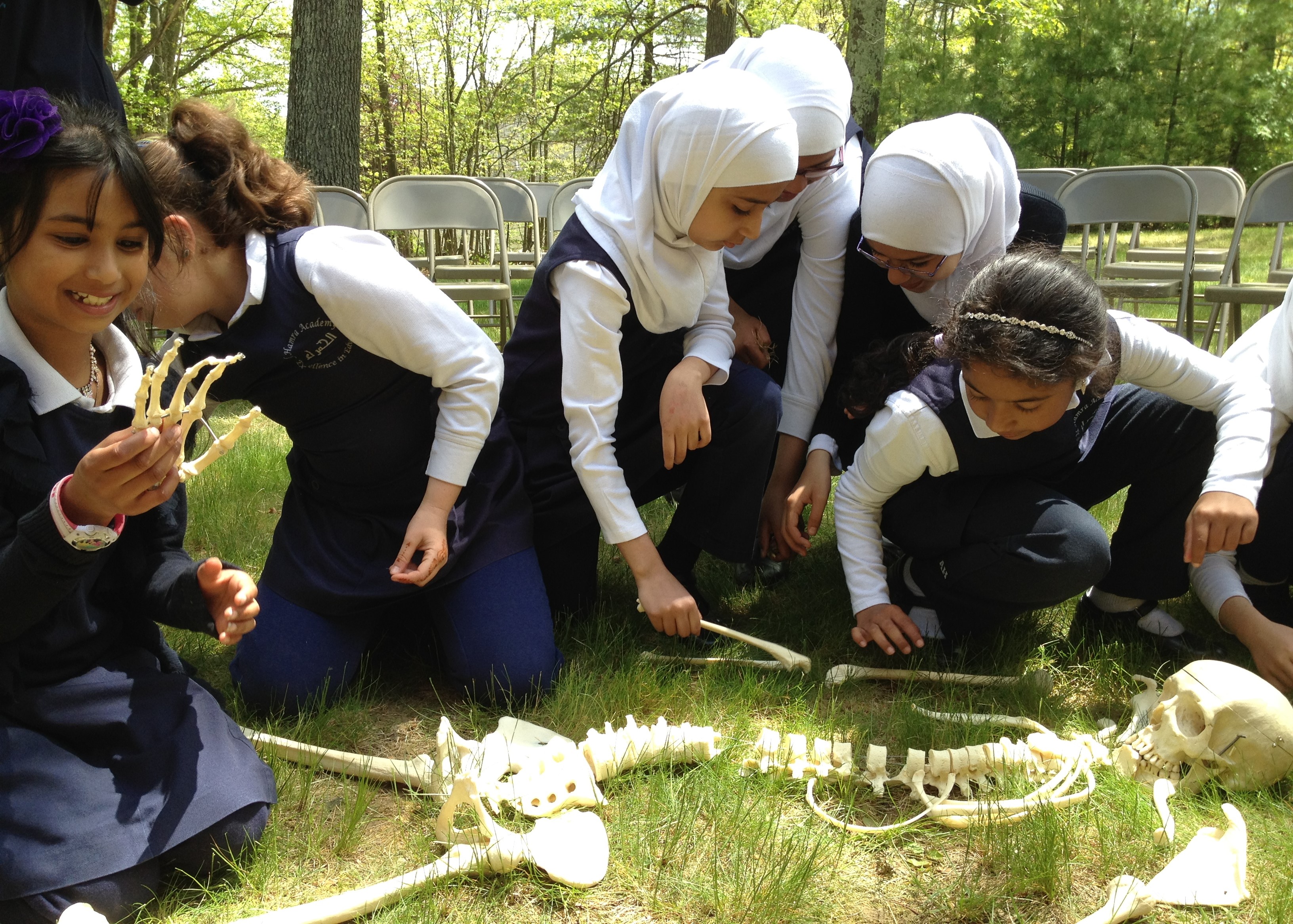 celebrate-picture-books-picture-book-review-bone-by-bone-students-at-al-hamra-school