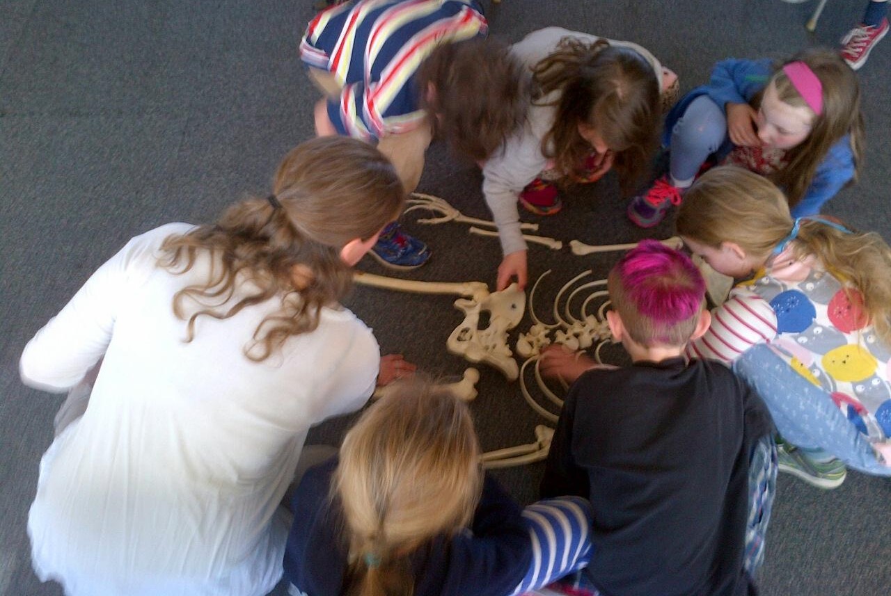 celebrate-picture-books-picture-book-review-bone-by-bone-workshop