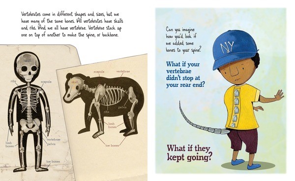 celebrate-picture-books-picture-book-review-bone-by-bone-tailbone