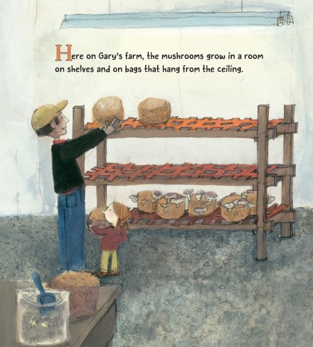 celebrate-picture-books-picture-book-review-on-the-farm-at-the-market-mushroom-farm