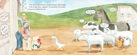 celebrate-picture-books-picture-book-review-a-crow-of-his-own-clyde-joins-the-farm
