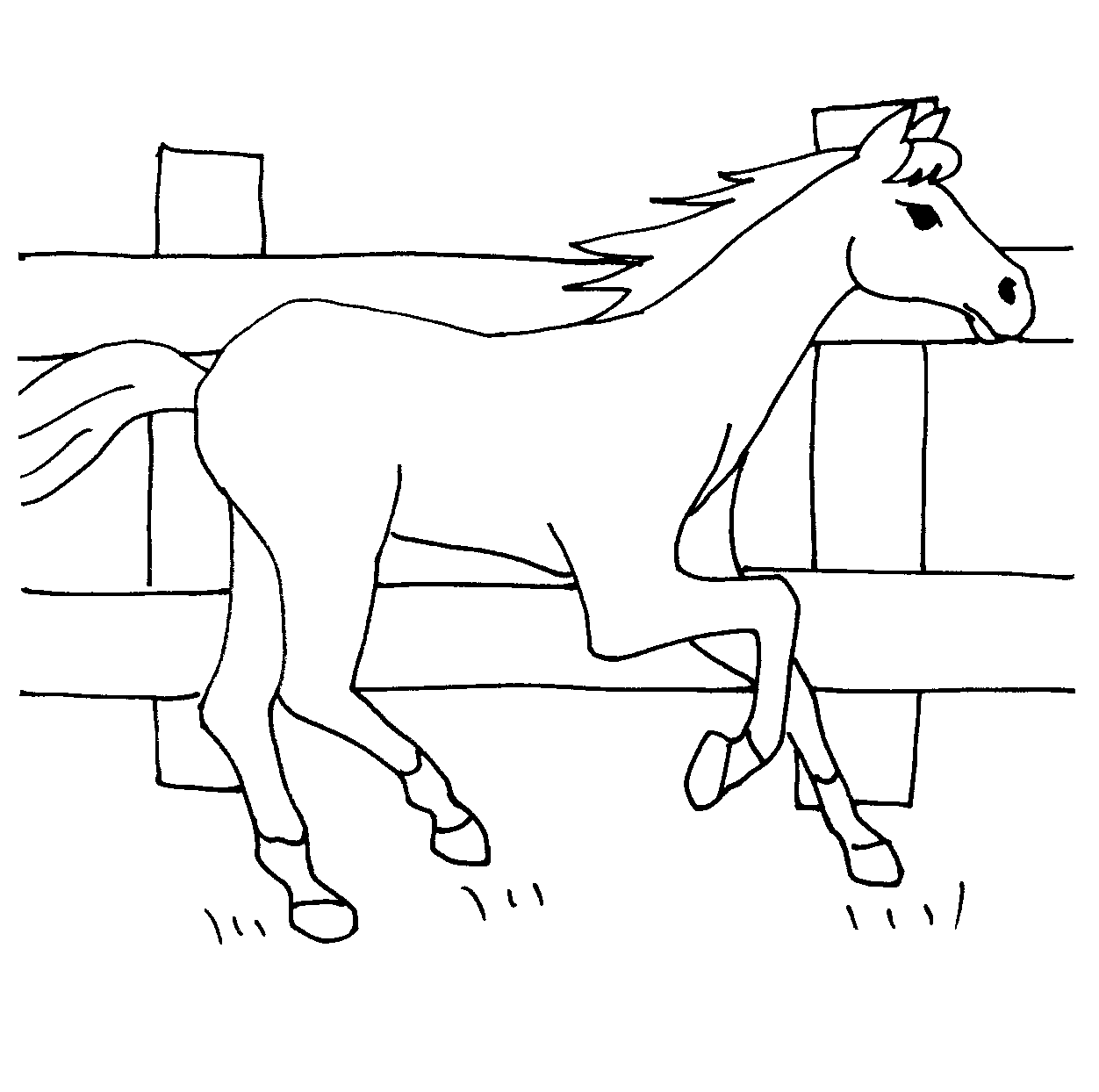 celebrate-picture-books-picture-book-review-galloping-horse-coloring-page