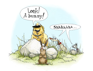 celebrate-picture-books-picture-book-review-wolf-camp-running-bunny