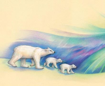 celebrate-picture-books-picture-book-review-c-is-for-canada-aurora-borealis