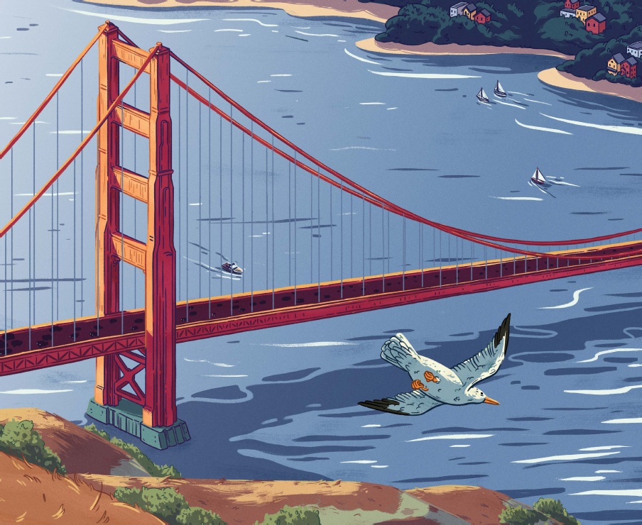 celebrate-picture-books-picture-book-review-here-to-there-and-me-to-you-golden-gate-bridge