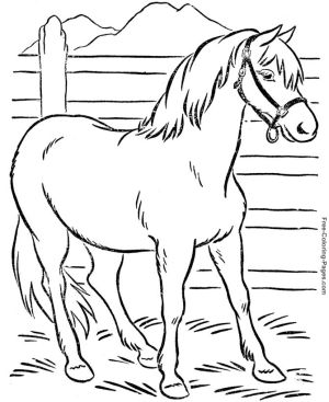 celebrate-picture-books-picture-book-review-horse-coloring-page