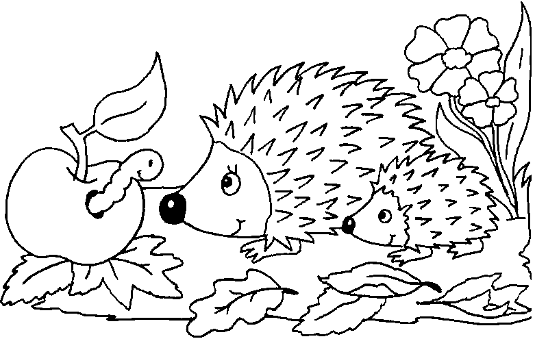 celebrate-picture-books-picture-book-review-hedgehog-coloring-page