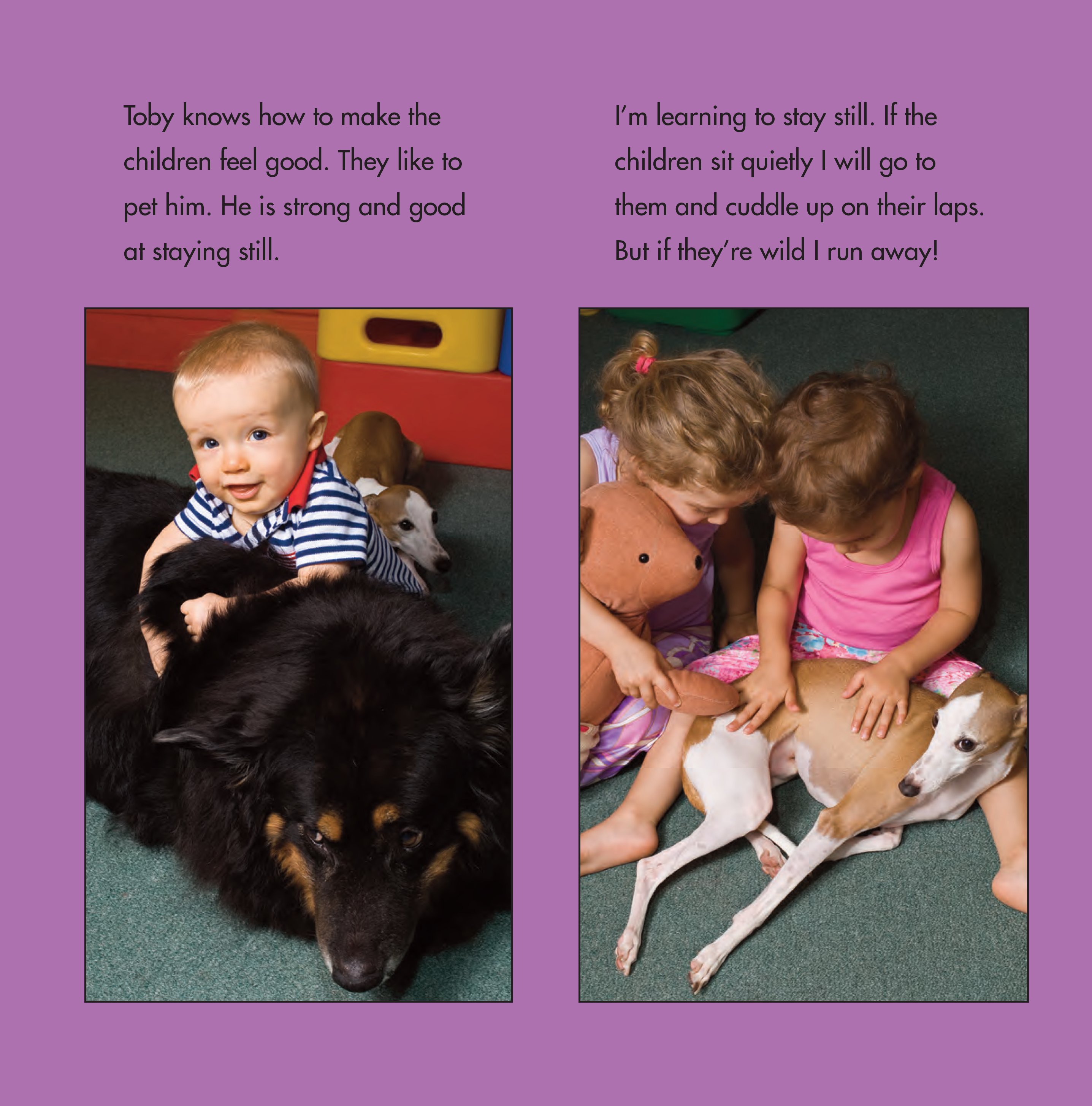 celebrate-picture-books-picture-book-review-toby-and-Tutter-therapy-dogs-playing