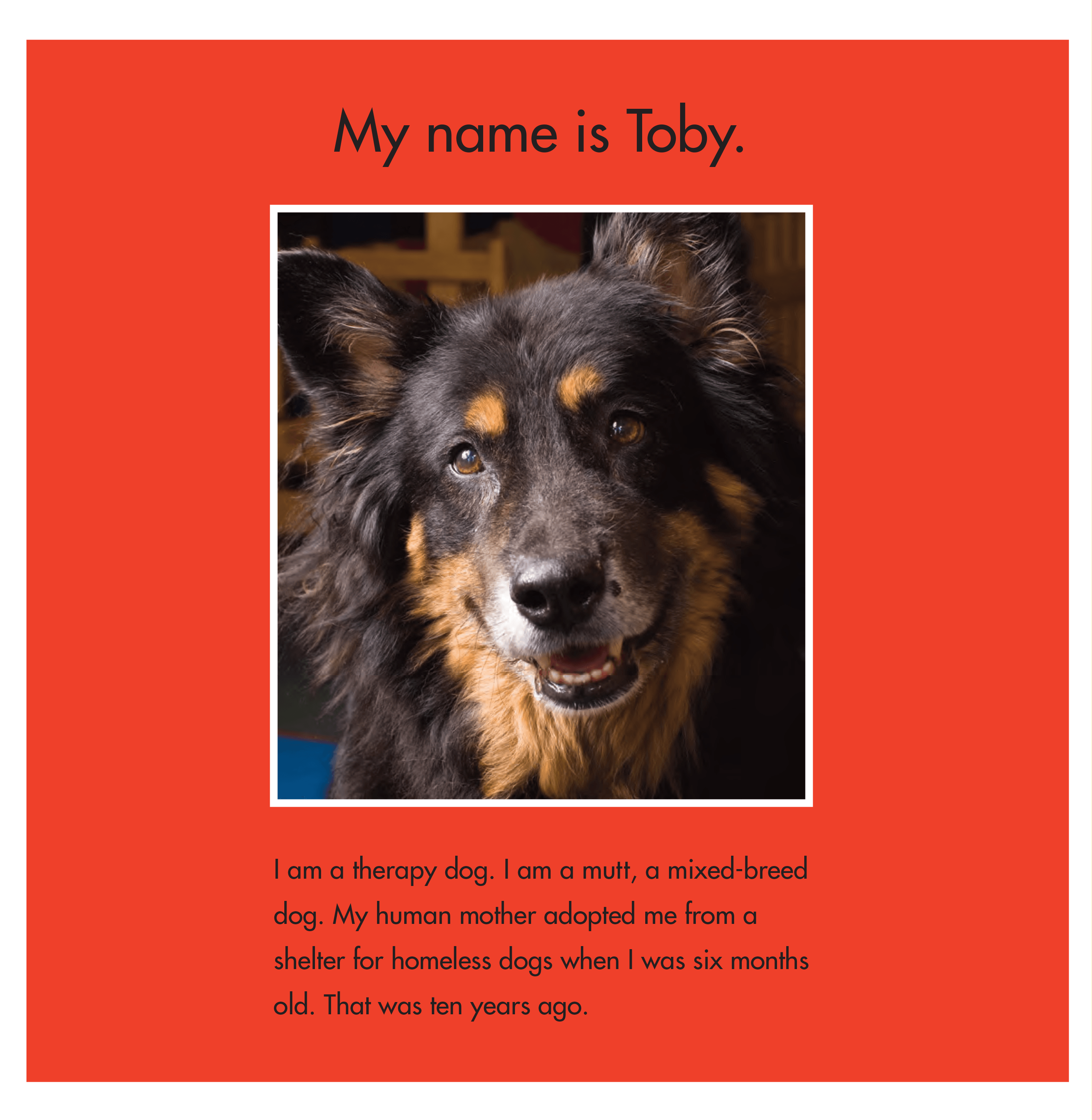 celebrate-picture-books-picture-book-review-toby-and-Tutter-therapy-dogs-toby