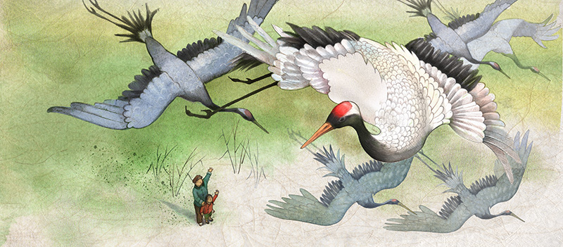 celebrate-picture-books-picture-book-review-lotus-and-feather-lotus-waves-goodbye