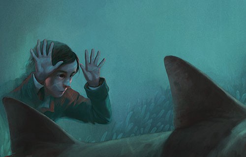 celebrate-picture-books-picture-book-review-swimming-with-sharks-looking-at-shark