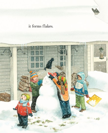 celebrate-picture-books-picture-book-review-water-is-water-snowman