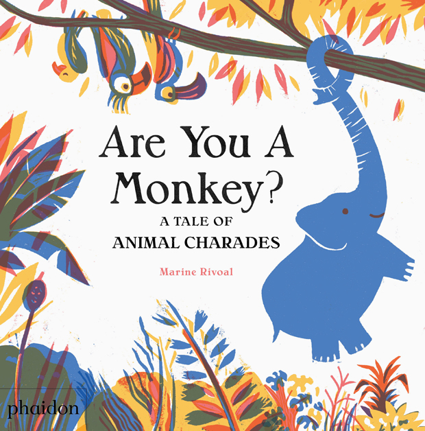 celebrate-picture-books-picture-book-review-are-you-a-monkey-cover