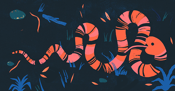 celebrate-picture-books-picture-book-review-are-you-a-monkey-snake