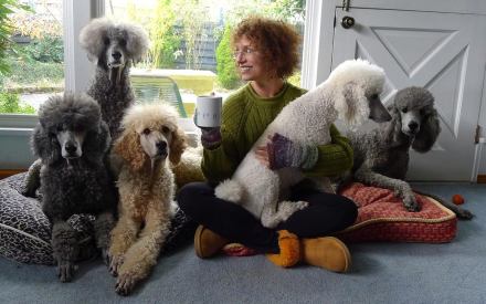 celebrate-picture-books-picture-book-review-interview-with-wendy-wahman-poodles